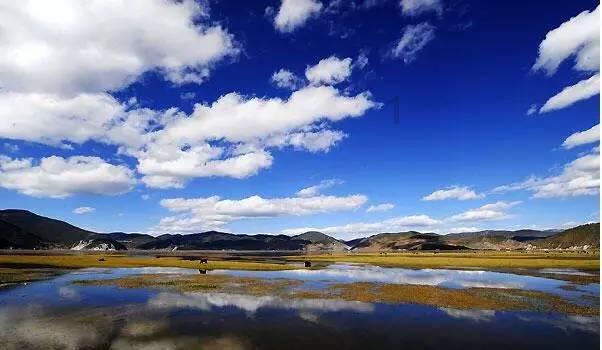 英雄悟空